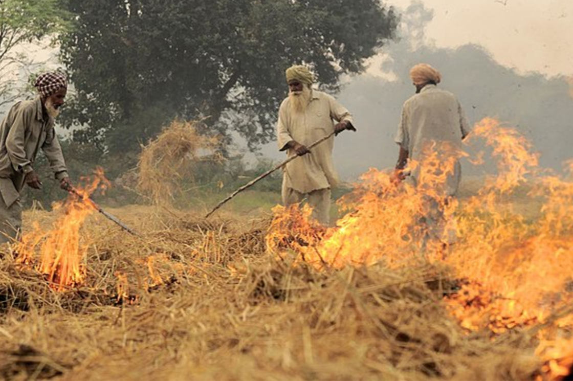 Stubble Burning