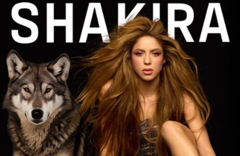 Shakira's Lamborghini Giveaway: A Fan's Dream Come True